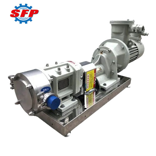 Professional Lobe Pump Manufacturer